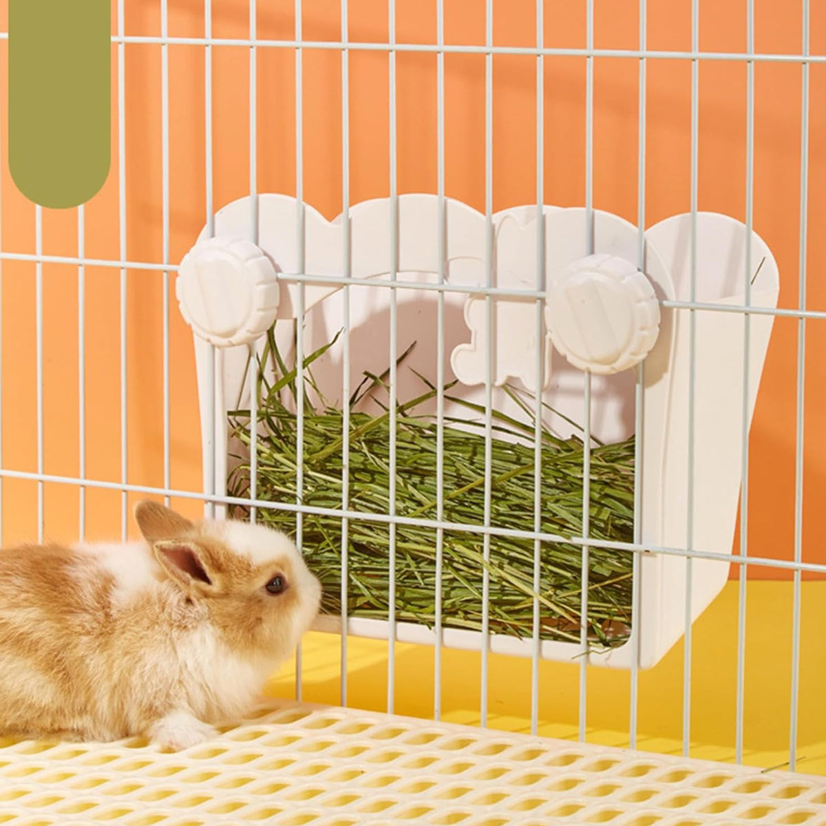 Photo inspiration: Guinea Pig Hay Feeder Set Up Reference: Rabbit Hay Feeder Guinea Pig Hay Feeder Less Waste Hay