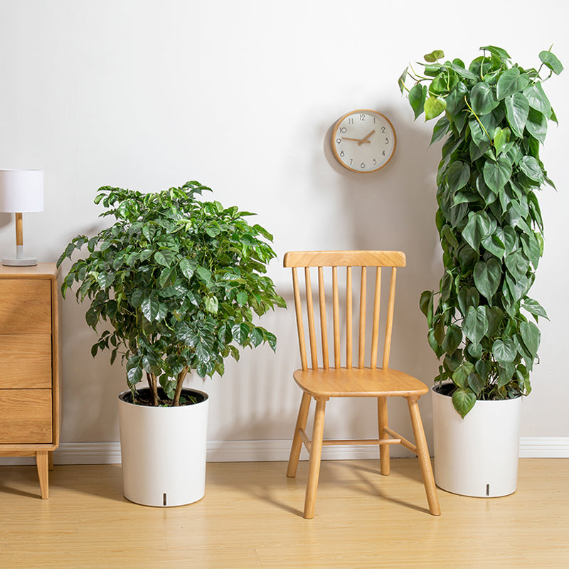 Nordic Extra Large Green Plant Flower Pot Living Room Automatic Water ...