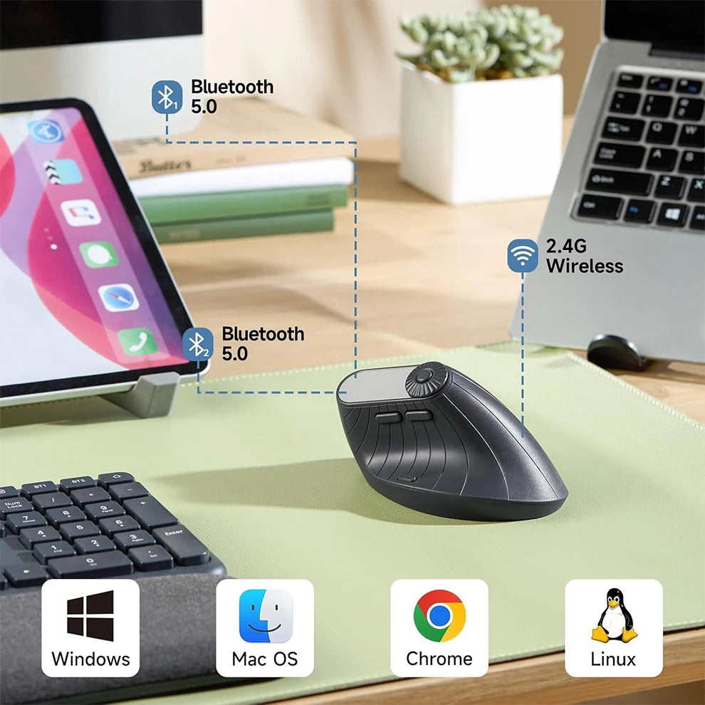Ergonomic Mouse 2.4G Wireless BT Mouse,Task Window Switching ,Adjustab ...
