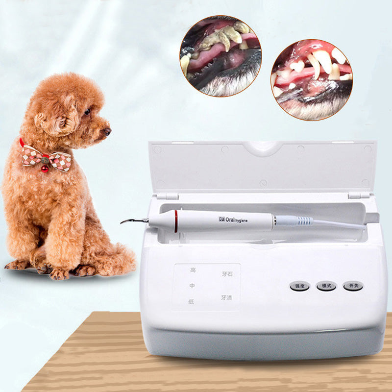 Pet Ultrasonic Dental Scaler Dog Cat Bad Breath Calculus Remover Scale ...