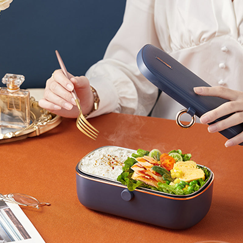 Portable Electric Plug-in Thermal Detachable Partition Bento Lunch Box ...
