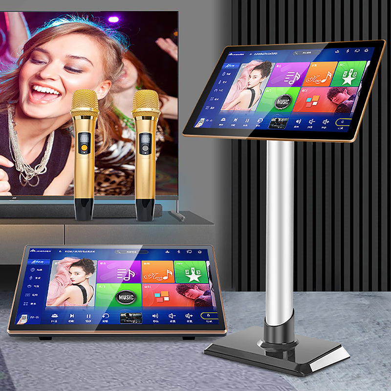 Dual System Hi-Fi KTV Digital Screen Karaoke Microphone TV Song InAndO ...
